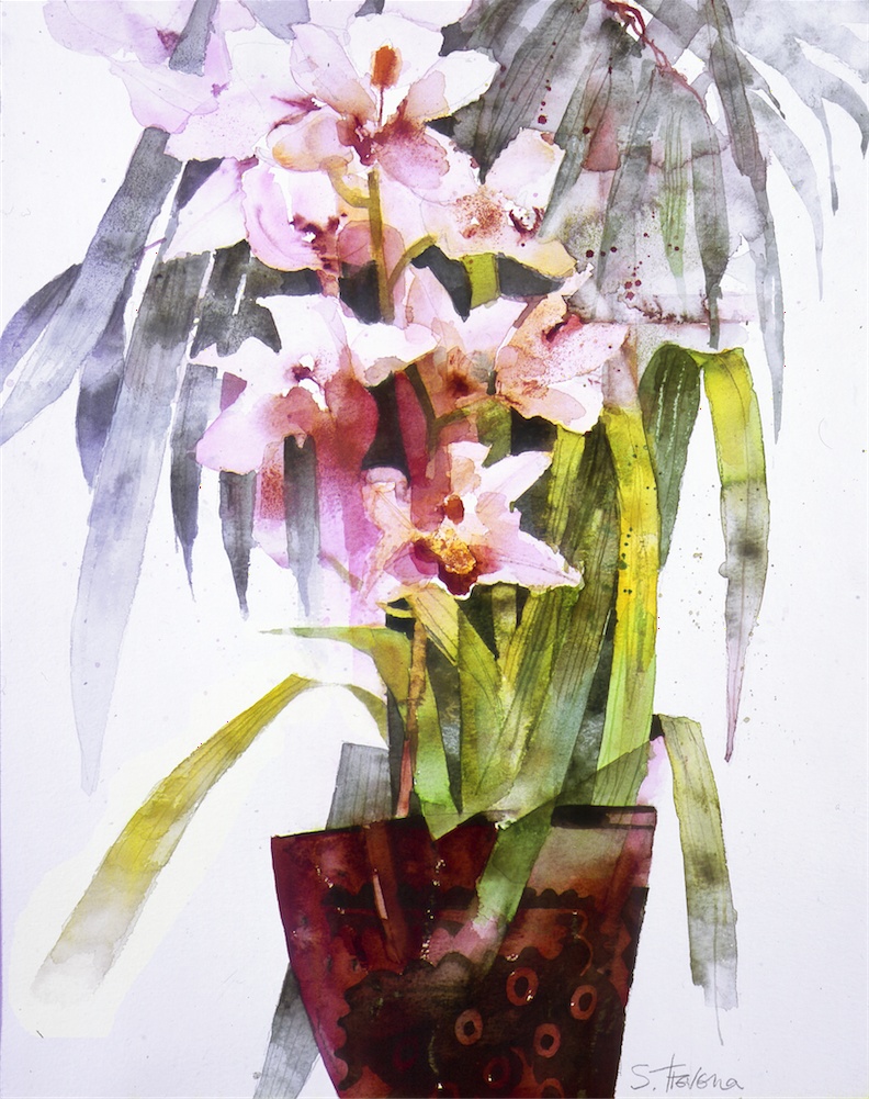 Ivory Queen Orchids (Cymbidium)