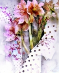Amaryllis