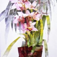 Ivory Queen Orchids (Cymbidium) - Watercolour 48 x 38 cm Ivory Queen Orchids (Cymbidium)