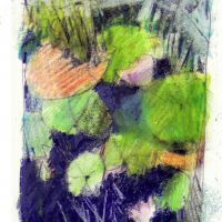 Preliminary Sketch for Scottish Waterlilies - Watercolour Pencils 14 x 9 cm Preliminary Sketch for Scottish Waterlilies